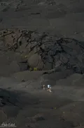 Black Backpack Desert
